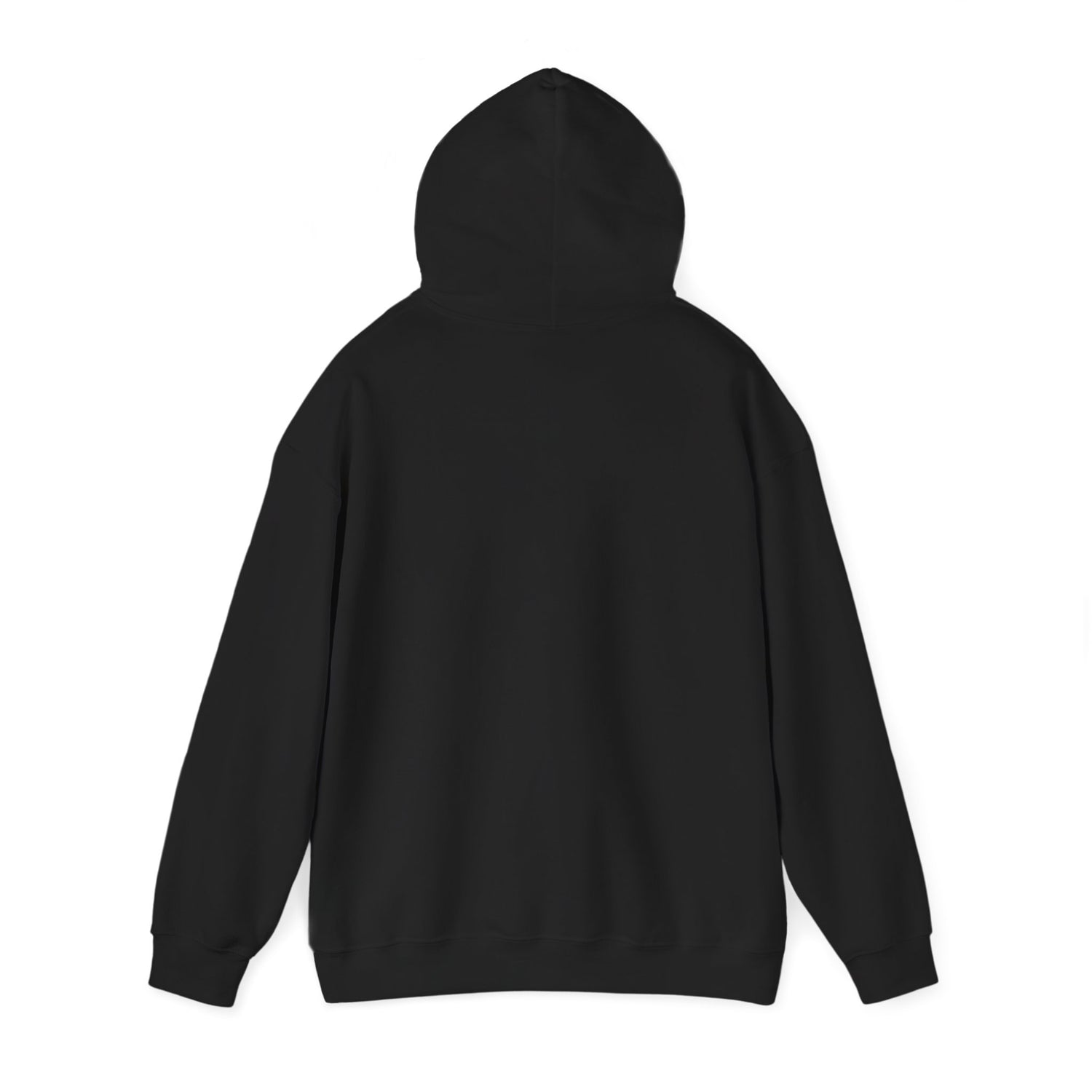 A BEAR KNOWS BEST HOODIE