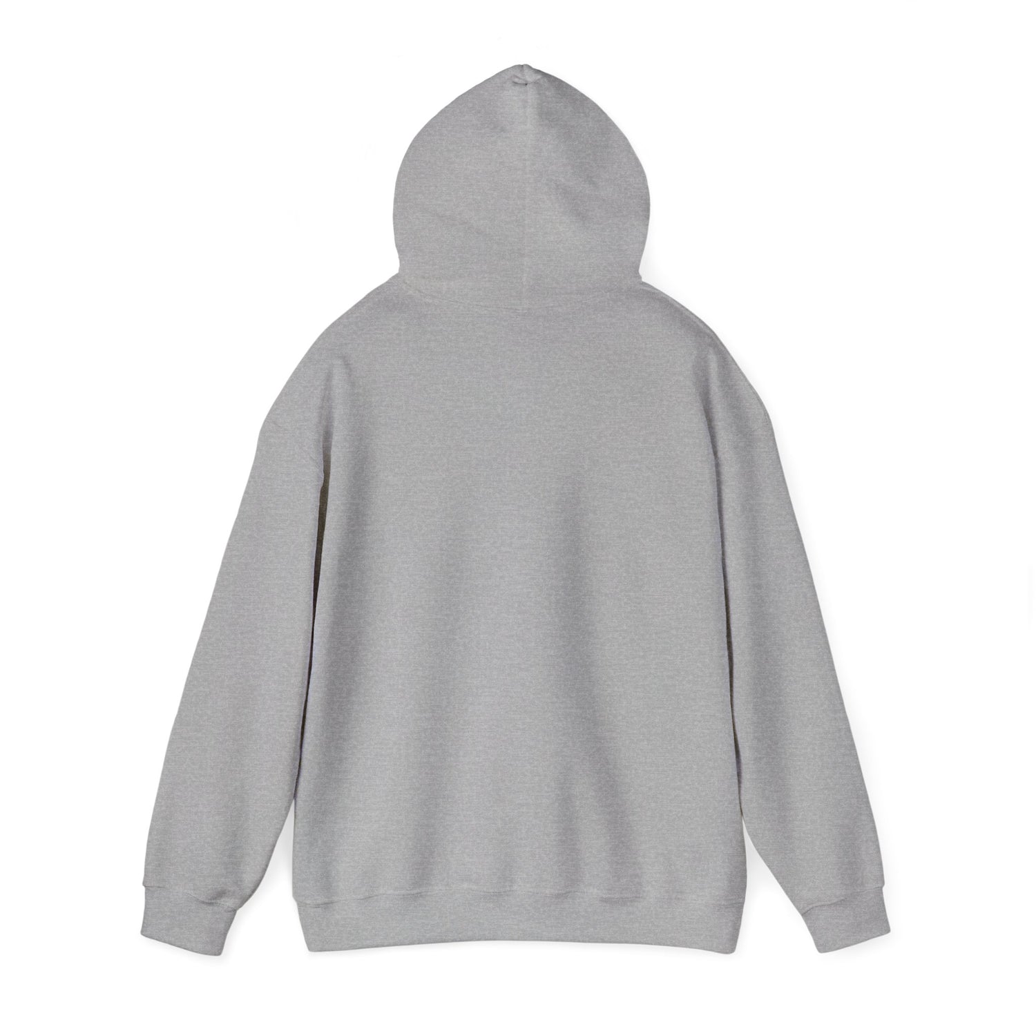 A BEAR KNOWS BEST HOODIE