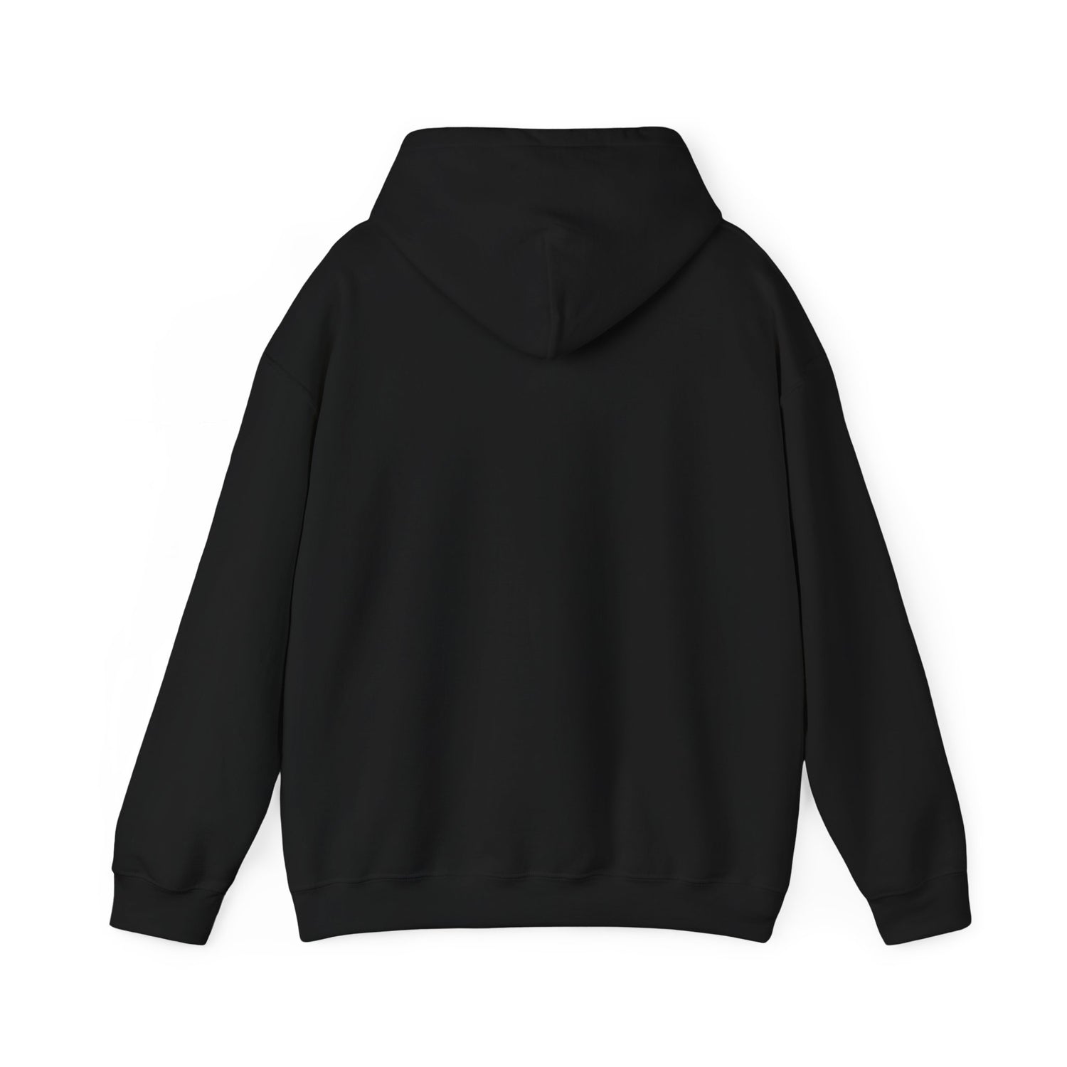 A BEAR KNOWS BEST HOODIE