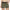 Women's Shorts - Forest Funk Untamed Growth Casual Shorts
