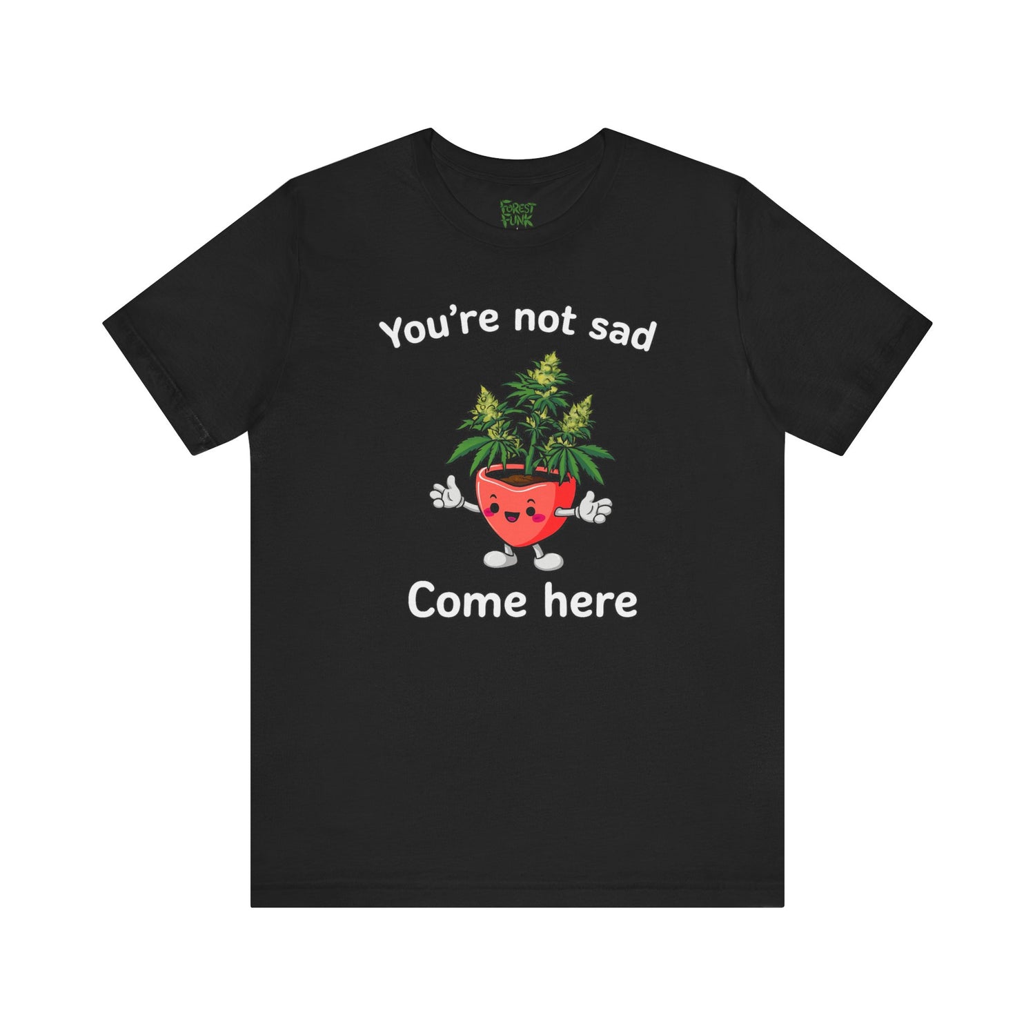 You’re Not Sad – Come Here